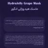 ماسک هیدروژلی هسته انگور هایلایف
