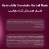 ماسک هیدروژلی گیاه دم اسب هایلایف